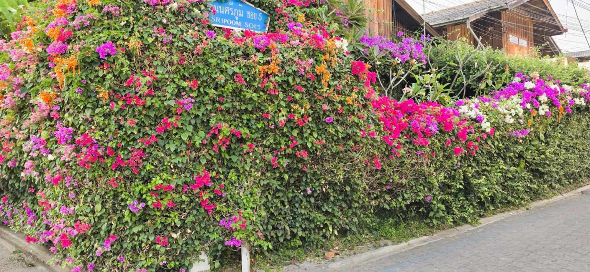 Siriwan Hostel Csiangmaj Kültér fotó