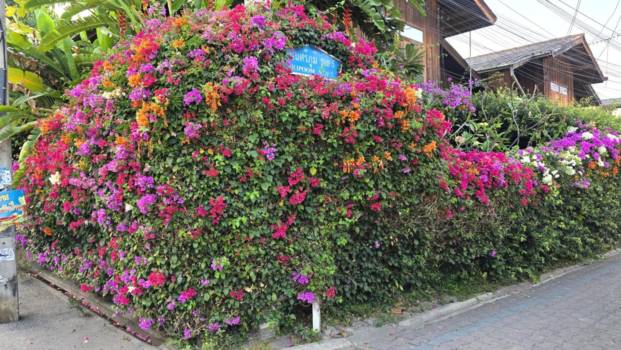 Siriwan Hostel Csiangmaj Kültér fotó